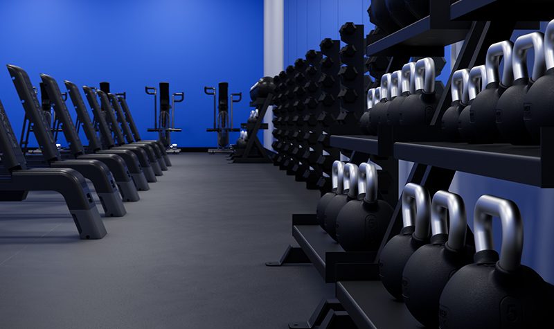 Upgrade Your Fitness Game with Power Systems – Trusted Gear for Every Athlete